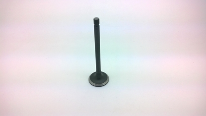 Picture of Cylinder Head Exhaust Valve