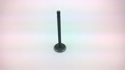 Picture of Cylinder Head Inlet Valve