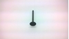 Picture of Cylinder Head Inlet Valve