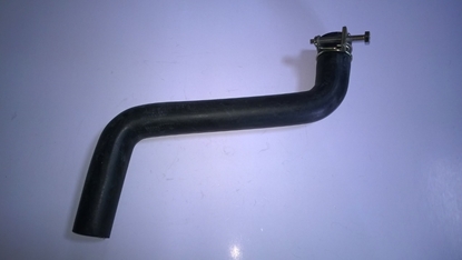 Picture of Radiator Lower Hose