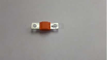 Picture of 30 Amp Fuse