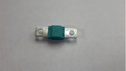Picture of 40 Amp Fuse