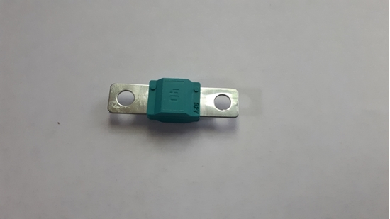 Picture of 40 Amp Fuse